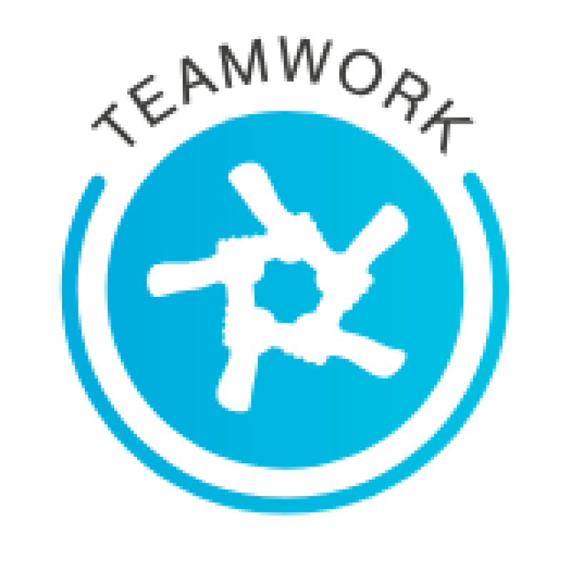 Teamwork